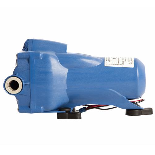 PENTRYPUMP WHALE 8L 12V 2BAR